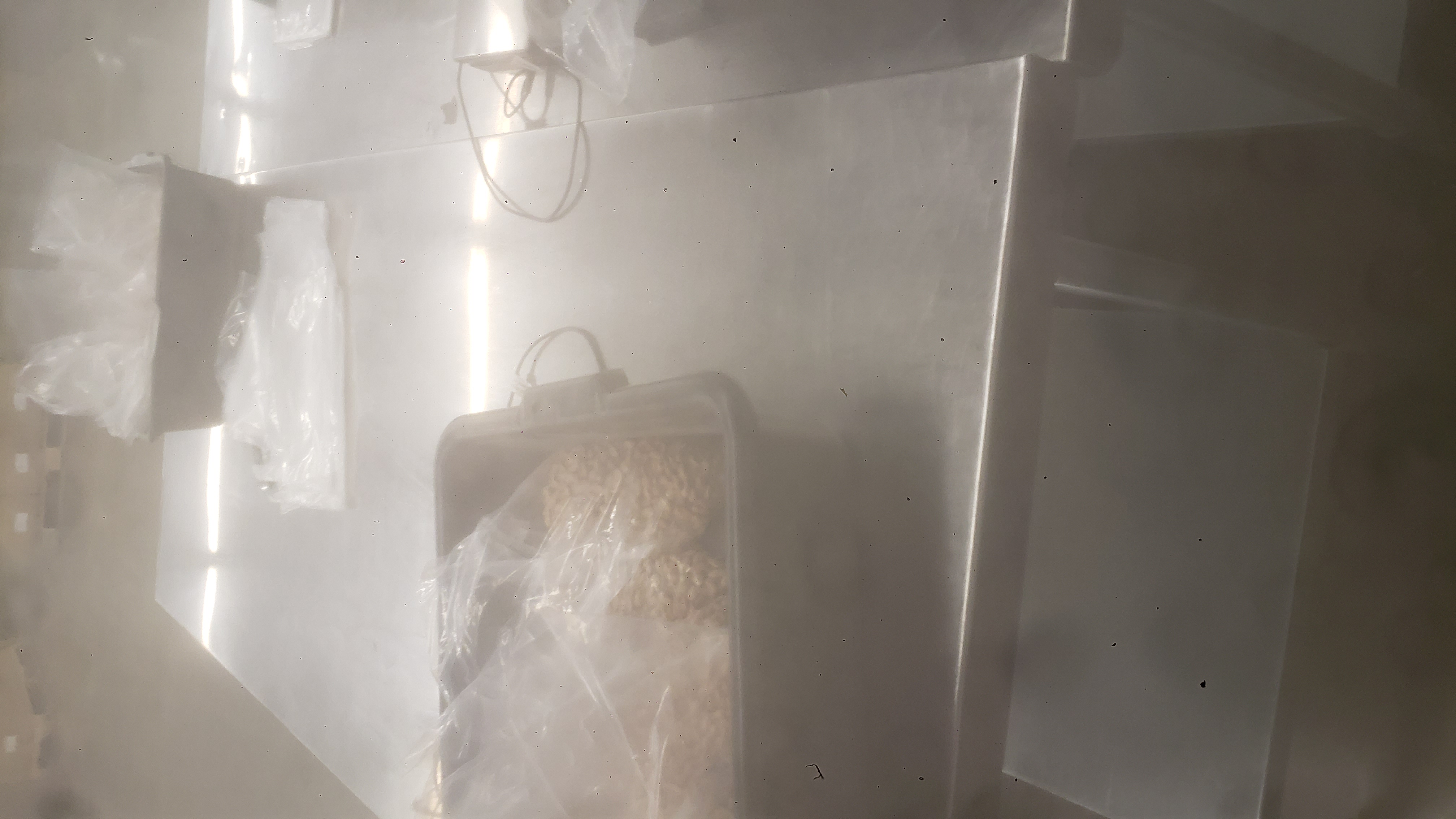 Plastic tubs filled with bags of pinto bans surrounded by two weight scales and a stack of bags on a metal table.